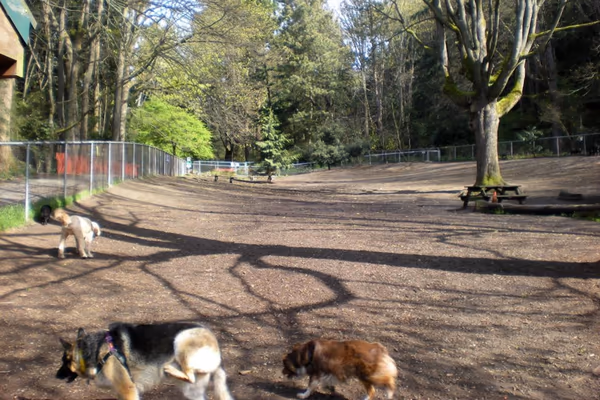Golden Gardens Off-Leash Area
